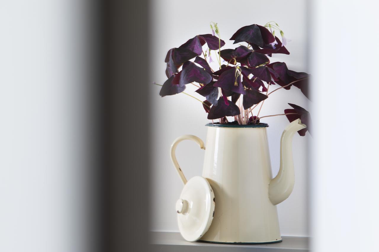 Hotel Les Deux Girafes